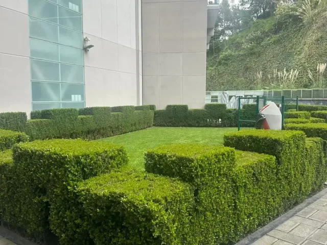 place photo 21