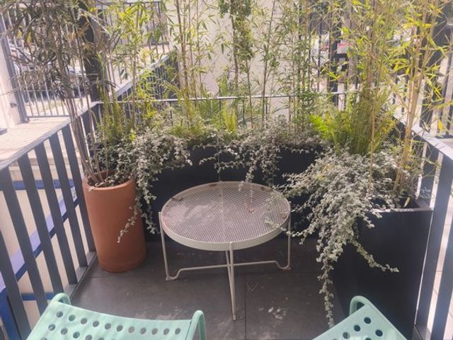 place photo 16