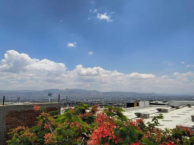 place photo 18
