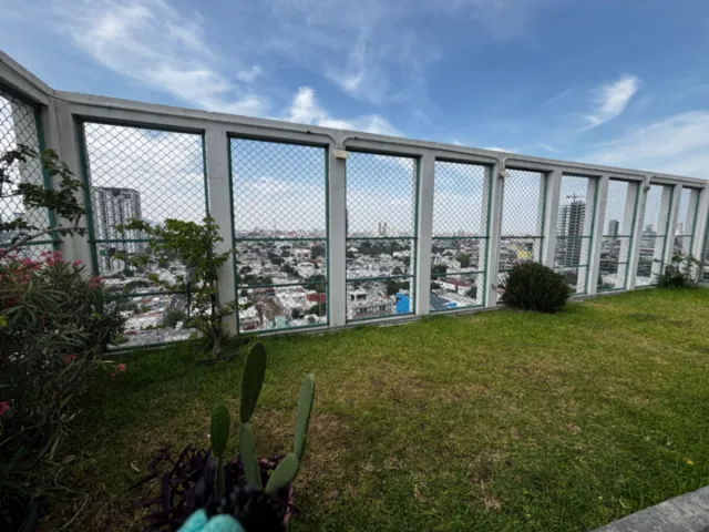 place photo 17