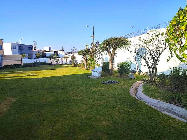 place photo 48