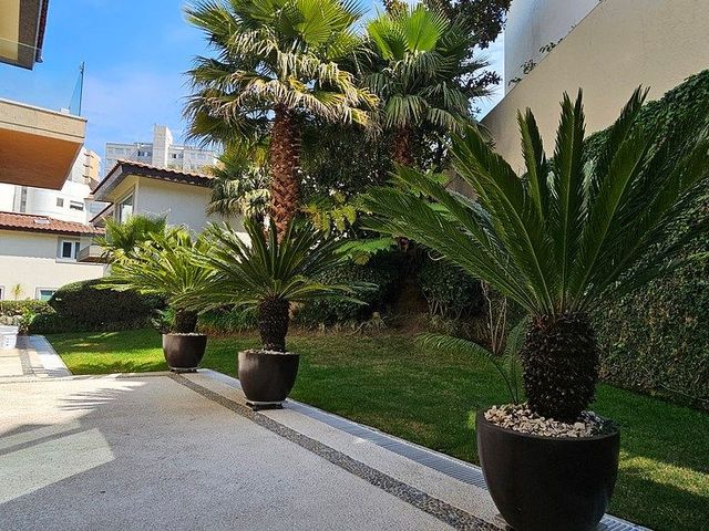 place photo 38