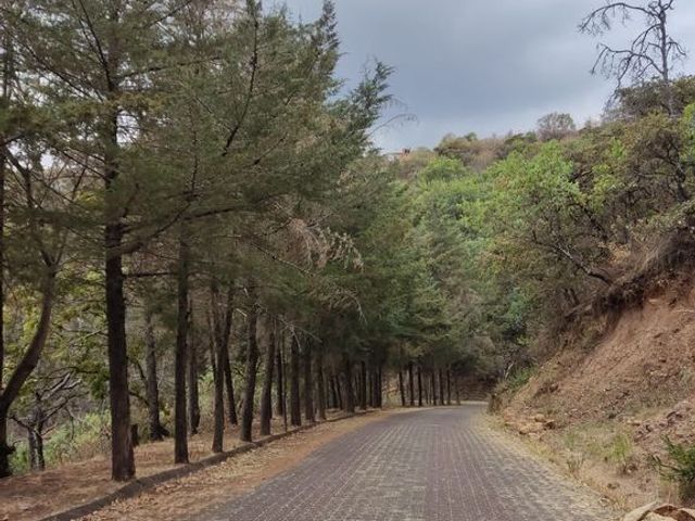 place photo 28