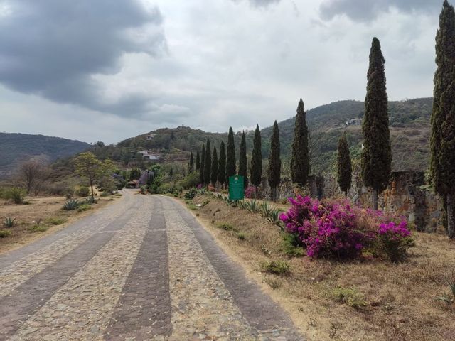 place photo 18