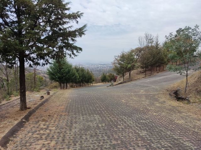 place photo 25