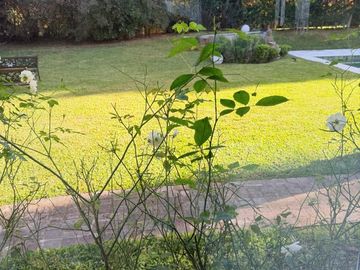 place photo 55