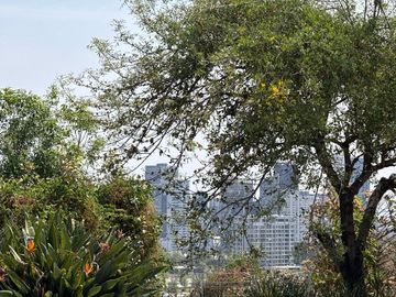 place photo 60