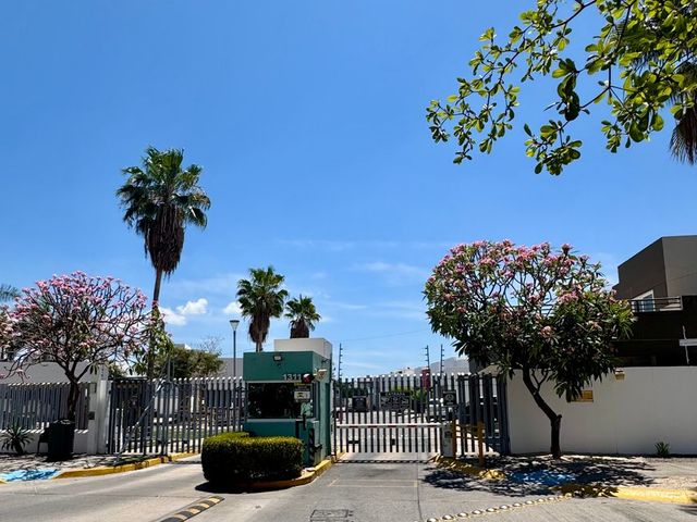 place photo 29