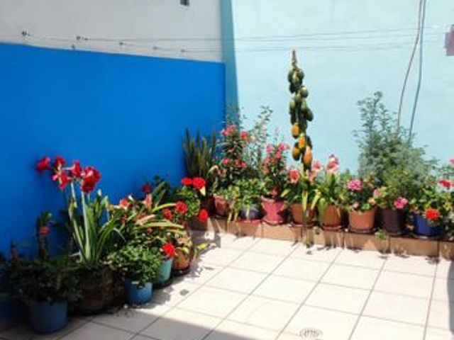 place photo 32