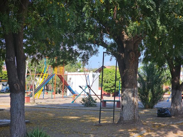 place photo 32