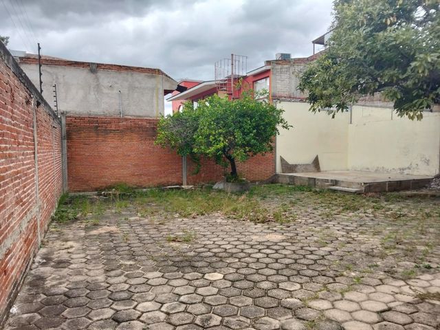 place photo 23
