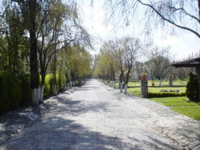 place photo 20