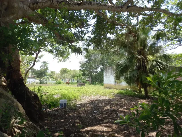place photo 3