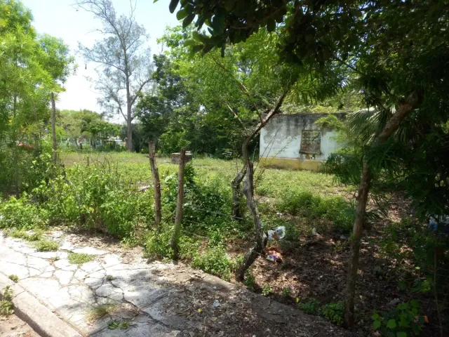place photo 6