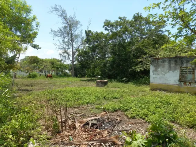 place photo 1