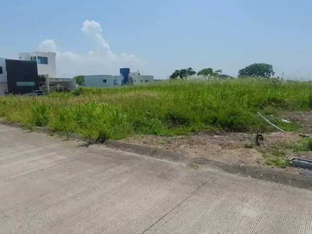 place photo 15