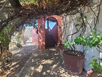 place photo 45