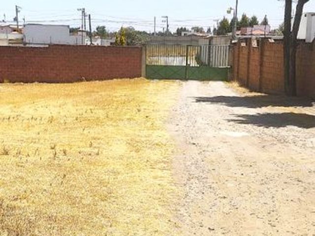 place photo 20