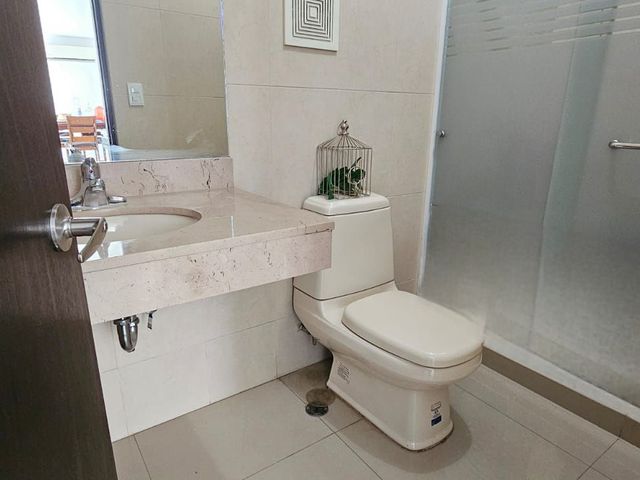 place photo 46