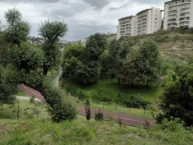 place photo 30