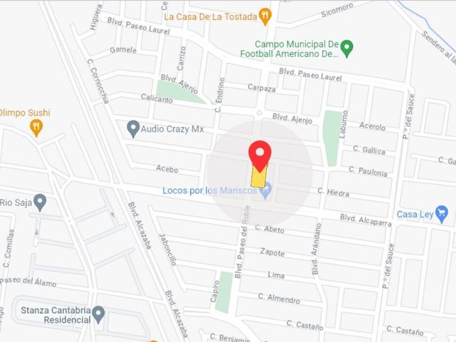 place photo 12