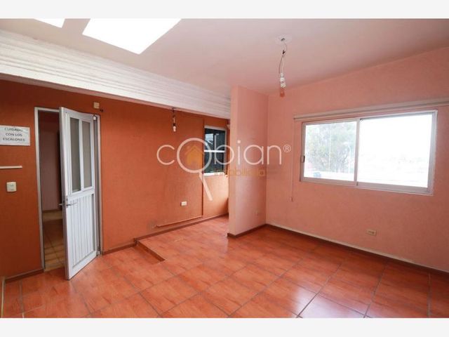 place photo 39