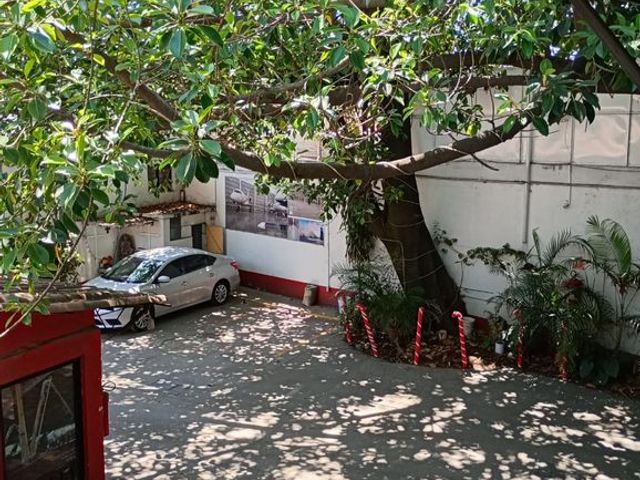 place photo 13