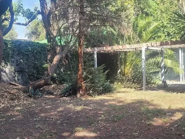 place photo 15