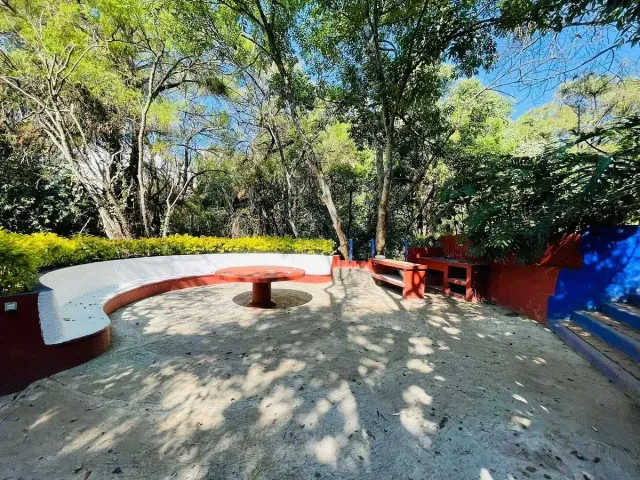 place photo 19