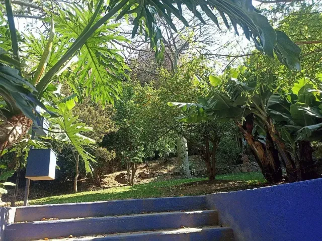 place photo 20