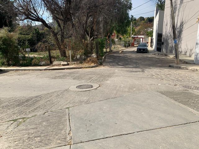 place photo 26