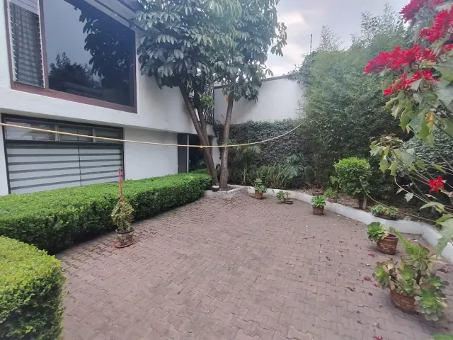 place photo 44