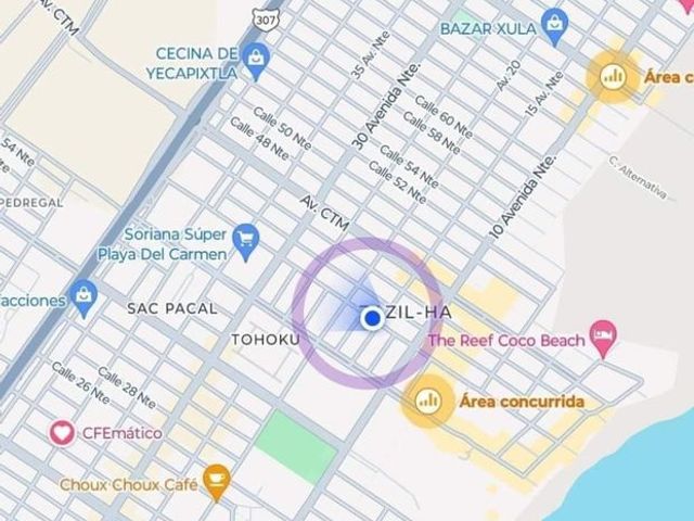 place photo 16