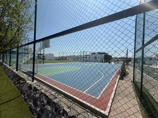 place photo 24