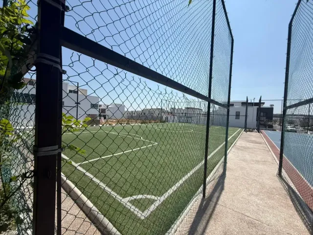 place photo 23