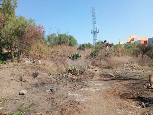 place photo 14