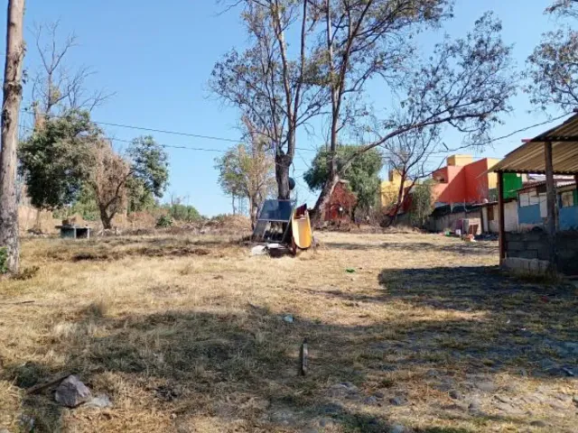 place photo 18
