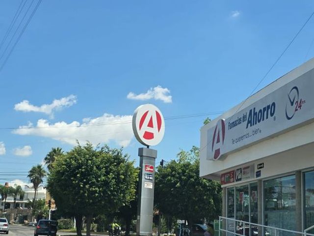place photo 14