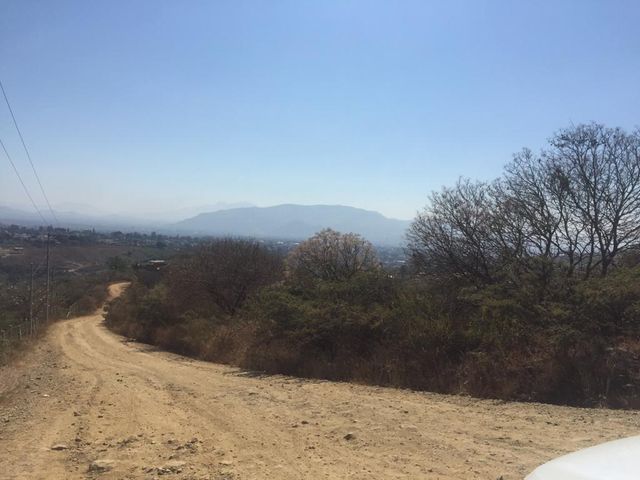 place photo 23