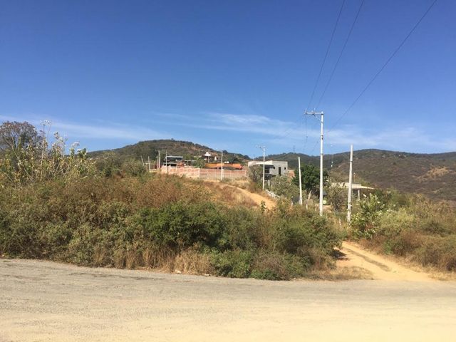 place photo 21