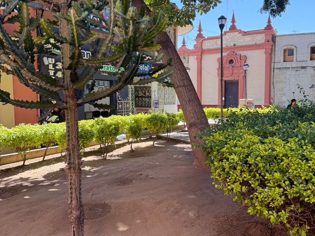 place photo 11