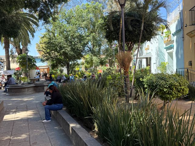 place photo 4