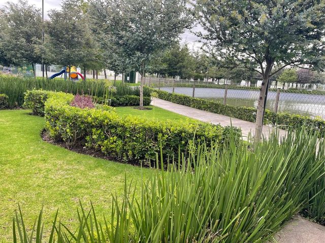 place photo 28
