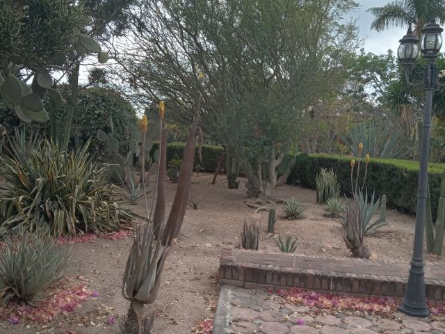 place photo 37