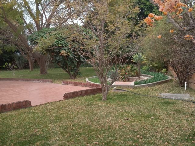 place photo 36