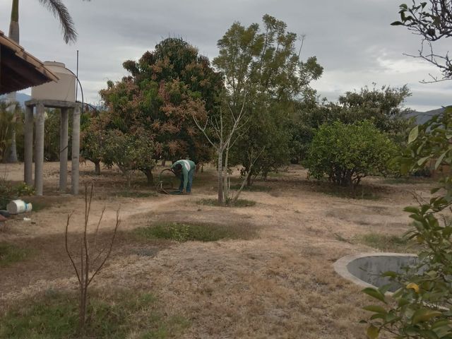 place photo 35