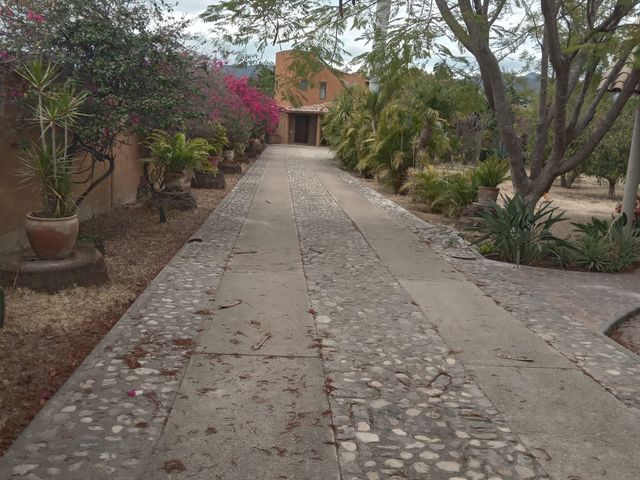 place photo 38