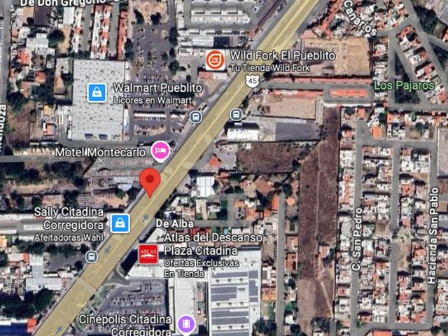 place photo 2