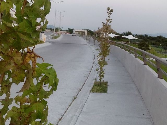 place photo 52