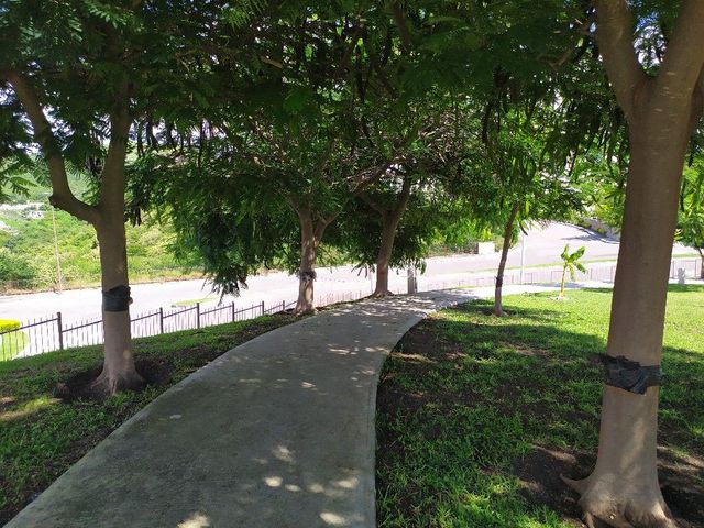 place photo 52